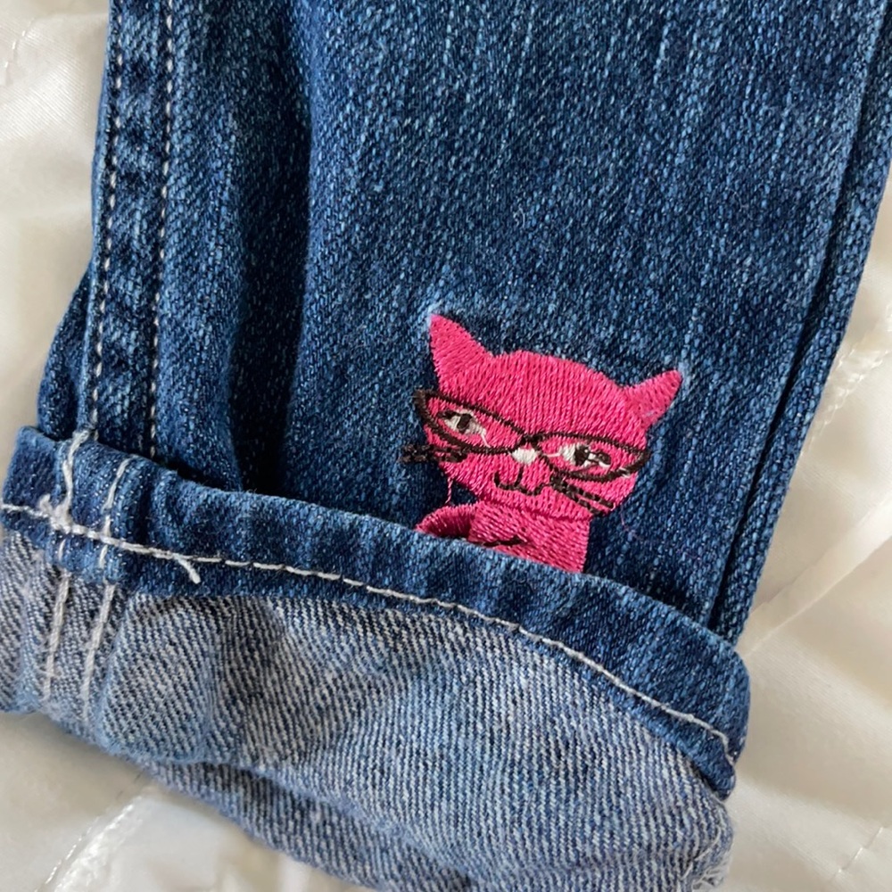 Cat embroidered Crazy 8 skinny jeans